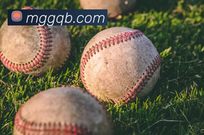 完美体育在线登录入口服务体系